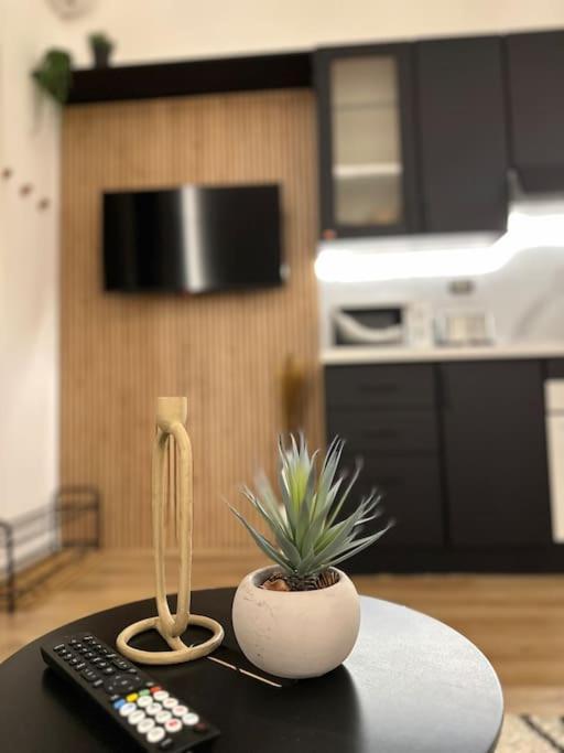 La Casa Di Marlu - Gorgeous Flat In Catania Centre Daire Dış mekan fotoğraf